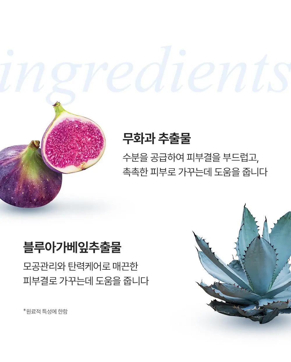 [NEW/각질제거] 런드리유 소프트 바디 레드 글러브 클린 1매입 / 5매입 상세페이지 30